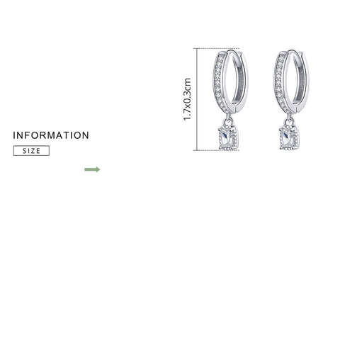 S925 Sterling Silver Fashion Zircon Earrings